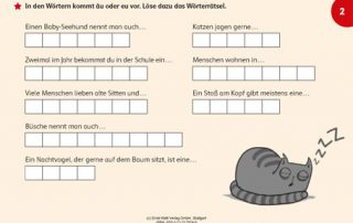 Fidibus 5/6 Arbeitsheft Rechtschreibung