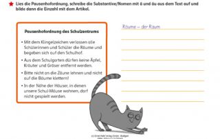 Fidibus 5/6 Arbeitsheft Rechtschreibung