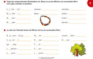 Fidibus 5/6 Arbeitsheft Rechtschreibung