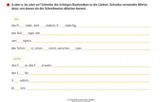 Fidibus 5/6 Arbeitsheft Rechtschreibung