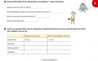 Fidibus 5/6 Arbeitsheft Rechtschreibung