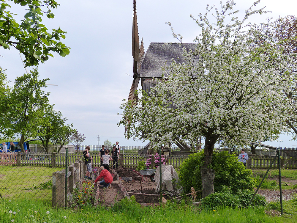 Garten, Beet, Personen, Mühle