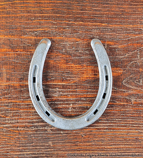 Lucky Horseshoe Glücksbringer Hufeisen