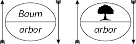 2026-06_Bild-Baum-arbor-de-Saussures-Illu Illustration Baum arbor Lautbild